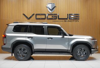 2025 Lexus 550 Overtrail - photo 3