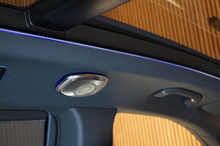 2025 Mercedes-Maybach GLS600 - photo 16