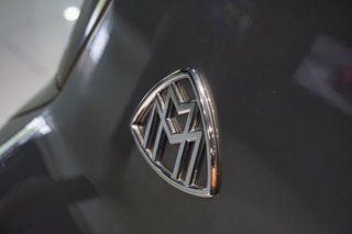 2025 Mercedes-Maybach GLS600 - photo 22