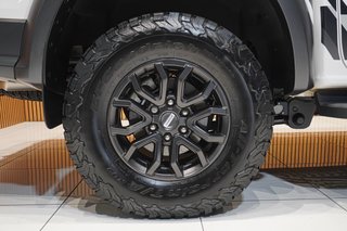 2025 Ford 3.0T V6 Double Cab Raptor 4WD - photo 4