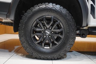 2025 Ford 3.0T V6 Double Cab Raptor 4WD - photo 4