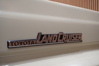 2025 Toyota Land Cruiser LAND CRUISER 79 2.8 GD-6 P/U D/C A/T - photo 14