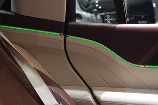 2023 Mercedes-Maybach GLS600 - photo 24