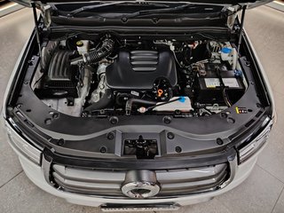 2024 Gwm Steed P-SERIES 2.0TD LS/BLACK EDITION A/T D/C P/U - photo 21