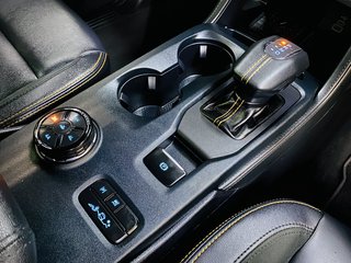 2024 Ford Ranger 2.0D BI-TURBO WILDTRAK X AWD A/T D/C P/U - photo 16