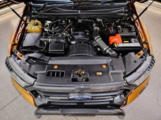 2020 Ford Ranger 2.0D BI-TURBO WILDTRAK 4X4 A/T P/U D/C - photo 23