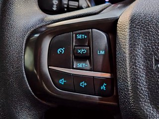 2023 Ford Ranger 2.0D XL A/T D/C P/U - photo 8