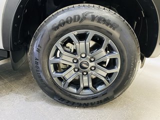 2023 Ford Ranger 2.0D BI-TURBO WILDTRAK A/T D/C P/U - photo 8
