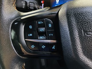 2023 Ford Ranger 2.0D BI-TURBO WILDTRAK A/T D/C P/U - photo 19