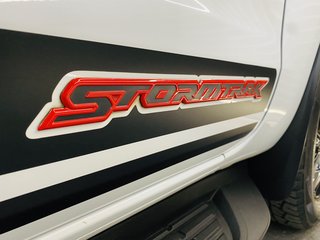 2022 Ford Ranger 2.0D BI-TURBO STORMTRAK 4X4 A/T P/U D/C - photo 9