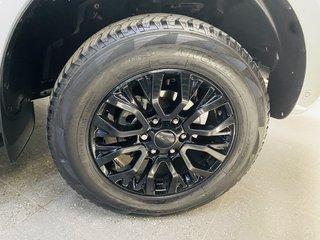 2022 Ford Ranger 2.0D BI-TURBO STORMTRAK 4X4 A/T P/U D/C - photo 8