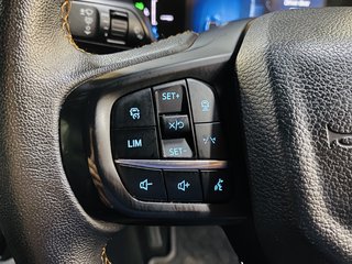 2024 Ford Ranger 3.0D V6 WILDTRAK AWD A/T D/C P/U - photo 22