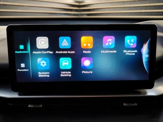 2022 Haval H6 2.0T PREMIUM DCT - photo 4