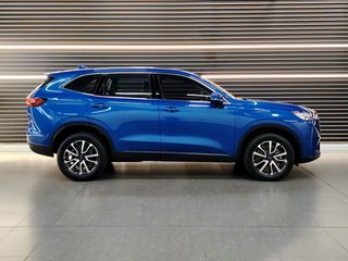 2022 Haval H6 2.0T PREMIUM DCT - photo 19