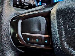2024 Ford Ranger 2.0D XL HR S/C P/U - photo 8
