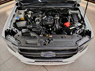 2024 Ford Ranger 2.0D XL HR S/C P/U - photo 16