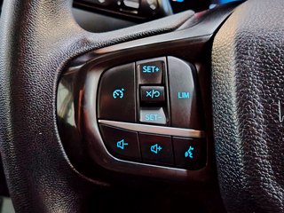 2023 Ford Ranger 2.0D XL A/T D/C P/U - photo 10