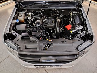 2023 Ford Ranger 2.0D XL A/T D/C P/U - photo 22