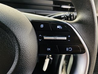 2024 Hyundai STARIA 2.2D F/C P/V A/T - photo 10