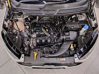 2019 Ford EcoSport 1.5TiVCT AMBIENTE - photo 15