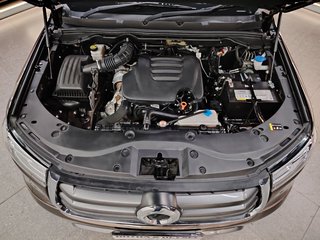 2023 Gwm Steed P-SERIES 2.0TD LS/BLACK EDITION A/T D/C P/U - photo 20