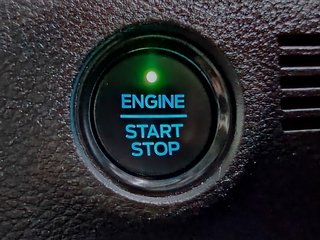 2021 Ford Ranger FX4 2.0D 4X4 A/T P/U D/C - photo 11