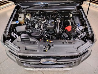 2025 Ford Ranger 2.0D BI-TURBO WILDTRAK A/T D/C P/U - photo 30