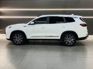 2023 Chery Tiggo 1.6 TDGI EXECUTIVE DCT TIGGO 8 PRO TGDI 290T - photo 6