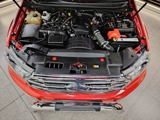 2020 Ford Everest 2.0D BI-TURBO XLT A/T - photo 14