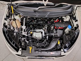 2019 Ford EcoSport 1.5TDCi AMBIENTE - photo 16