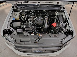 2025 Ford Ranger 2.0D XL HR A/T SUPER CAB P/U - photo 19