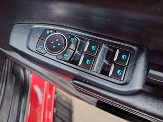 2023 Ford Ranger 2.0D XLT HR A/T D/C P/U - photo 8