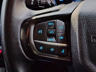 2023 Ford Ranger 2.0D XLT HR A/T D/C P/U - photo 9