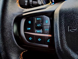 2024 Ford Ranger 2.0D BI-TURBO WILDTRAK 4X4 A/T D/C P/U - photo 9