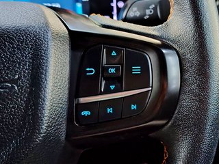 2024 Ford Ranger 2.0D BI-TURBO WILDTRAK 4X4 A/T D/C P/U - photo 10