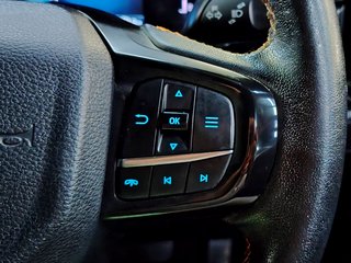 2024 Ford Ranger 2.0D BI-TURBO WILDTRAK X AWD A/T D/C P/U - photo 10