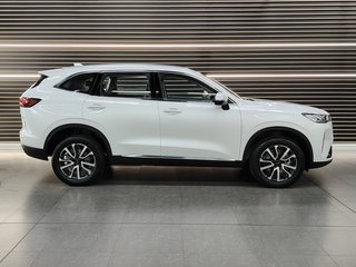 2022 Haval H6 2.0T SUPER LUXURY 4X4 DCT - photo 20