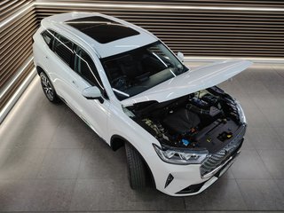 2022 Haval H6 2.0T SUPER LUXURY 4X4 DCT - photo 25