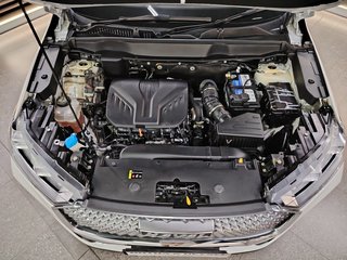 2022 Haval H6 2.0T SUPER LUXURY 4X4 DCT - photo 27