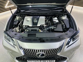 2019 Lexus ES 250 EX - photo 4