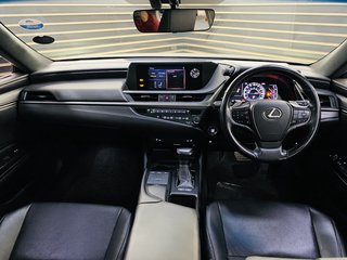 2019 Lexus ES 250 EX - photo 6