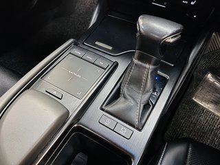 2019 Lexus ES 250 EX - photo 9