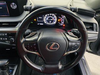 2019 Lexus ES 250 EX - photo 14
