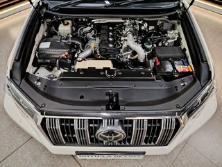 2018 Toyota Prado VX-L 3.0D A/T - photo 32