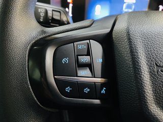 2024 Ford Ranger 2.0D XL A/T D/C P/U - photo 11