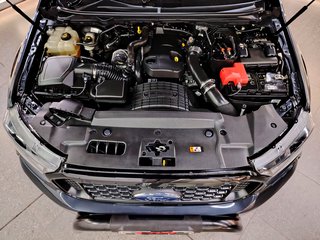 2022 Ford Ranger FX4 2.0D 4X4 A/T P/U D/C - photo 21