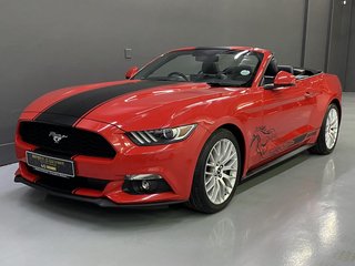 Ford Mustang Used vehicle for sale