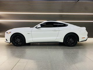 2019 Ford Mustang 5.0 GT A/T - photo 6