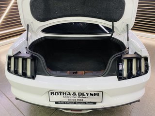 2019 Ford Mustang 5.0 GT A/T - photo 9