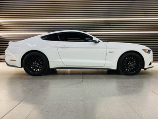 2019 Ford Mustang 5.0 GT A/T - photo 1